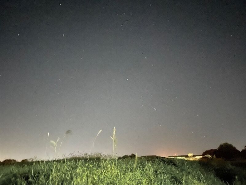 夜間散歩_R